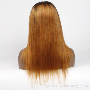 Brazilian Human Hair Lace Front Wig,Straight Virgin Hair Lace Wig For Black Women, Pre Pluck Lace Wig With Baby Hair